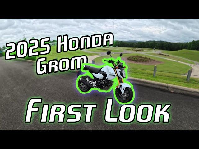 2025 Honda grom First ride and look