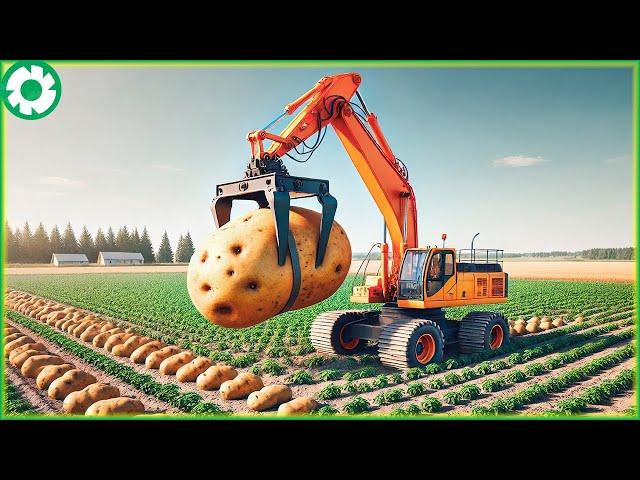 Transporting Giant Potatoes This Way - Harvesting Potatoes with Modern Agricultural Technology