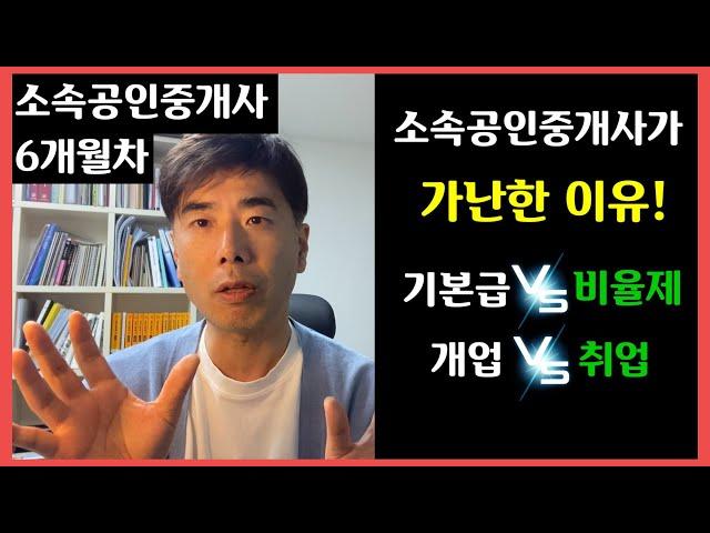 소속공인중개사가 가난한이유! 소공 5개월 일하면서 느낀점 부동산 창업과 취업