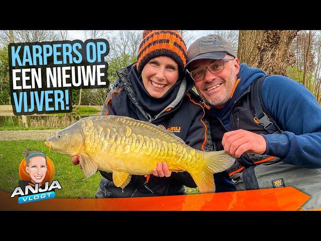 KARPERS OP EEN NIEUWE VIJVER!