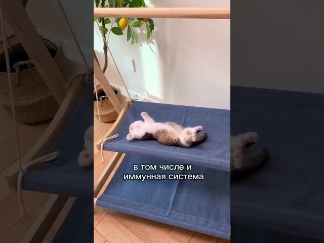 Гайд "7 скрытых причин почему вы болеете" отдаём вам бесплатно, подписывайтесь и забирайте️