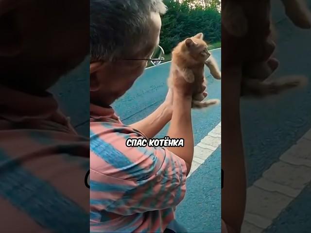 Байкер спас котёнка 