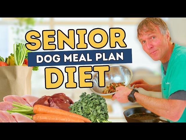 Senior Dog Food: Find out what Dr Jones Feeds his Senior Dog | EASY & VET-APPROVED