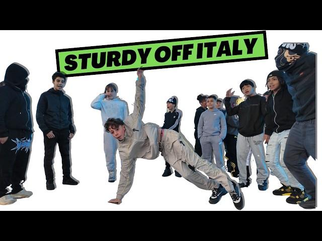 Sturdy Battle In Italy ! | Sturdy Off