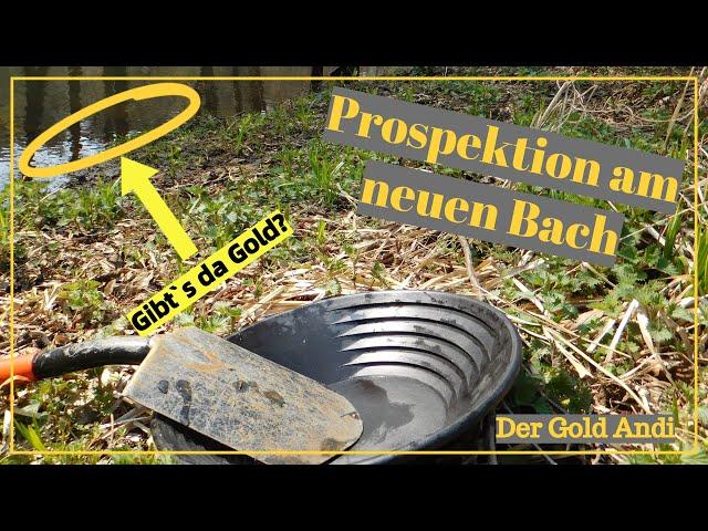 Prospektion am neuen Bach | Der Gold Andi