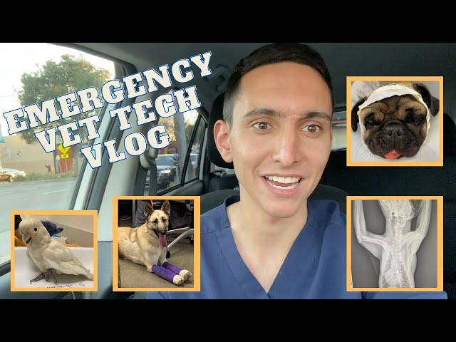 Day in The Life of an Emergency Vet Tech