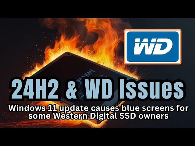 Windows 11 24H2 & WD SSDs #news #ssd #wd #westerndigital #windows11 @3DGAMEMAN