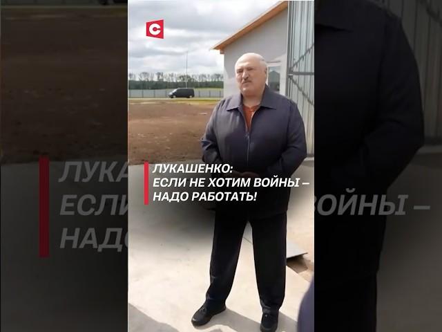 Лукашенко: Если не хотим войны – надо работать! #беларусь #лукашенко #политика #новости