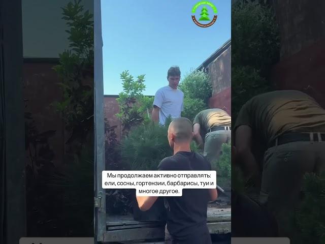 Садовый центр в Ростове ждёт вас #ростовнадону #озеленениеростов #питомникрастений #садоводство