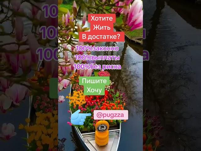 жизнь без долгов и кредитов #бизнес #работа онлайн