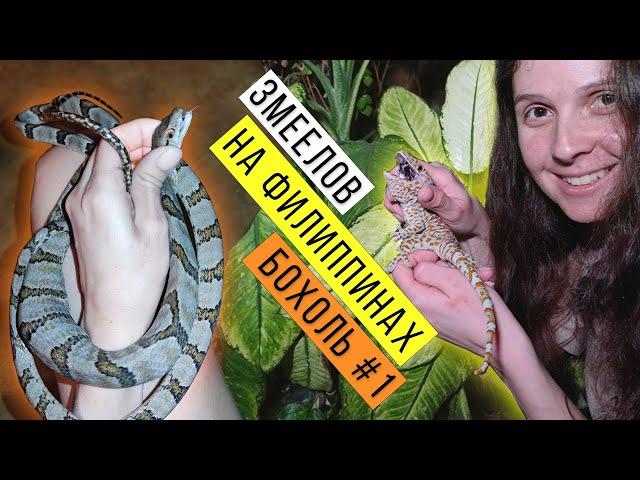 Ловим ЗМЕЙ и ГЕККОНОВ на Филиппинах Часть 1 / Snake hunting on Philippines Part 1 / Змеелов - учёный