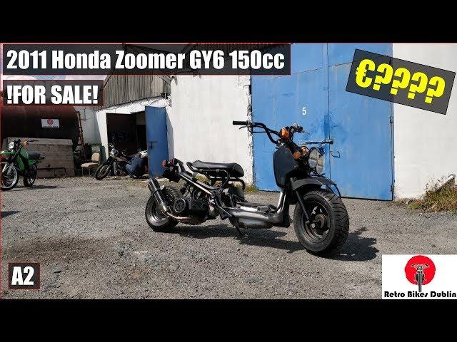 Honda GY6 150CC Zoomer - Honda zoomer / ruckus 150cc gy6 swap mod red 2011 review / overview