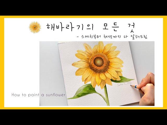 [ENG] 해바라기 수채화 | 스케치부터 채색까지 상세한 설명| How to paint a sunflower