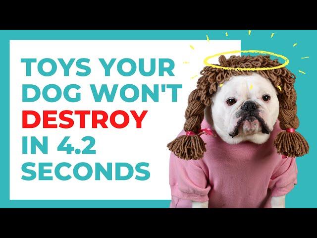 Dog Toys That Really Are "Indestructible" - Your Power Chewer Would Like You To Watch Please 