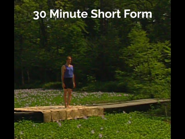 Short Form 30 Min : 1995 (Ashtanga Yoga - David Swenson)