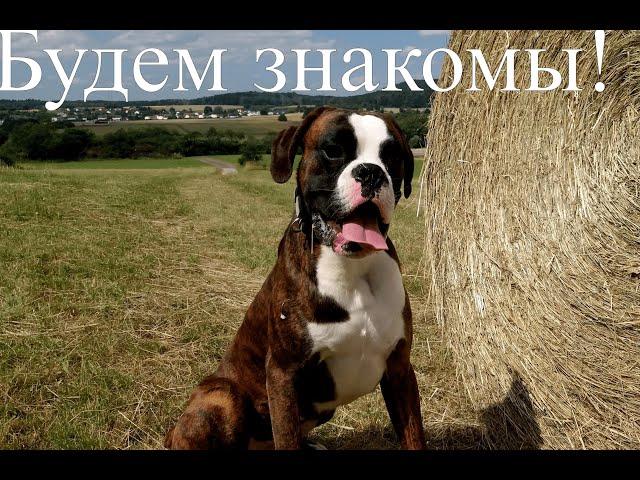 Будем знакомы! 7 честных ответов/Знакомство с подписчиками и гостями/Эстафета "Вопросы и ответы"