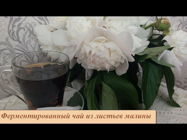 Ферментированный чай из листьев малины. Попробовав однажды, больше не захотите чай из магазина