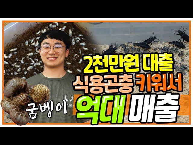 2천만원 대출받아 식용곤충으로 창업 5년만에 억대매출 올린 과정