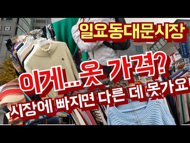 이게 정말 겨울옷 가격 이라구? 이곳에  빠지면 다른 시장 가기 어려워요 [일요동대문시장]