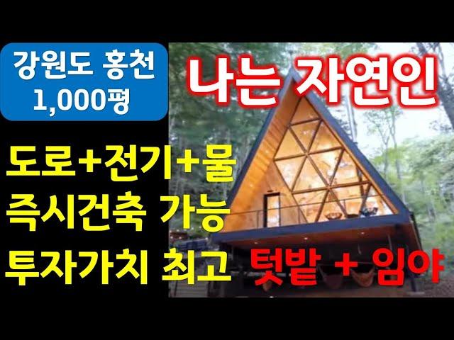 강원도 홍천 나는 자연인 전원주택 투자가치 3박자 갖춘 텃밭+임야 1000평 매매