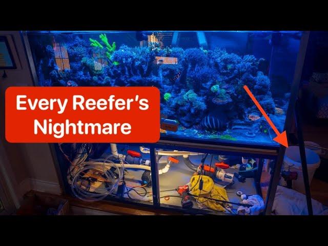 Dayne's 400 Gallon Reef Leaked!