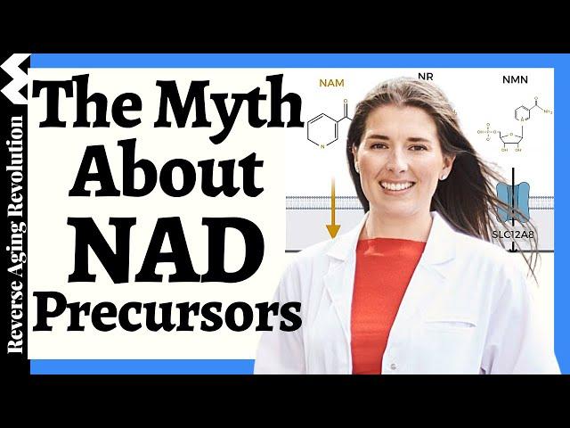 5 NAD Precursors - Which ONE Is MOST Effective & WHY?| Lead NAD Scientist Dr Nichola Conlon Explains