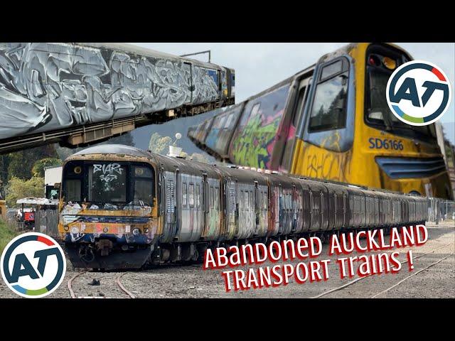 Abandoned AUCKLAND TRANSPORT Trains !