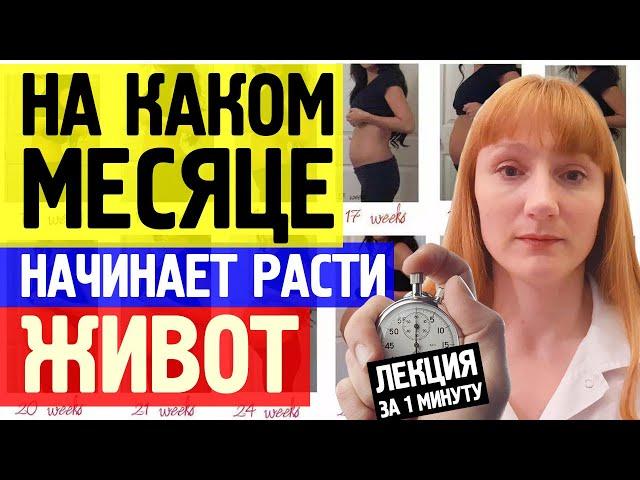 На каком месяце беременности начинает расти живот? Рассказывает гинеколог за минуту