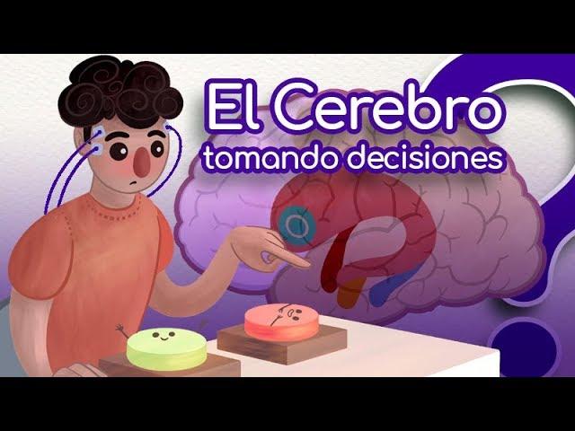 Pienso ¿Luego actúo? Cómo decide nuestro cerebro