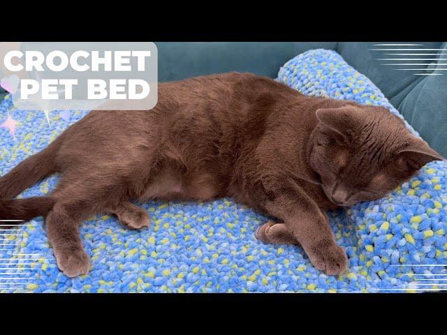 Crochet a Comfy Pet Bed and Pillow Perfect for Your Furry Friend | Crochet Pet Blanket with Pillow