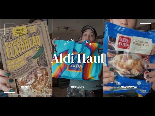 Aldi Grocery Haul | Under $150?!