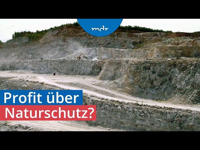 Warum der Gipsabbau im Südharz umstritten ist | Umschau | MDR