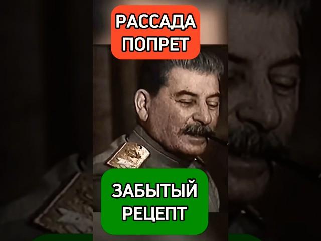 РАССАДА ПОПРЁТ НА ГЛАЗАХ. ЗАБЫТЫЙ РЕЦЕПТ из СССР #огород #дача #сад #компост #огородничество