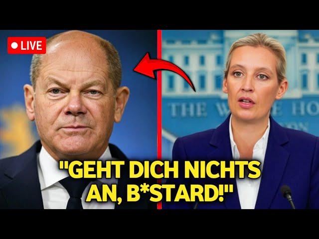 Alice Weidel ZERSTÖRT Olaf Scholz im Live-TV!