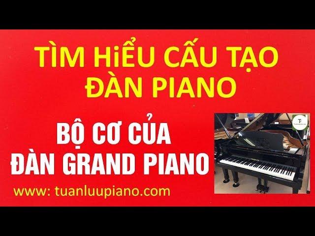  TÌM HIỂU BỘ CƠ BÊN TRONG ĐÀN GRAND PIANO - TUẤN LƯU PIANO