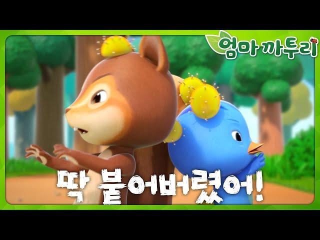 [엄마까투리5] 보물은 내 거야! 외 | 엄마 까투리 | 까투리 | Katuri | 시즌5 모음 제28~30화