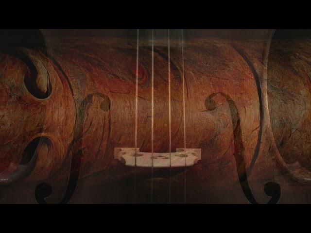 Didgeridoo and Cello Pt. 2 calm melodies for stress relief