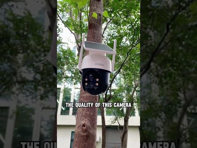 AOSU  Security Cameras:  Inexpensive Game Changer!