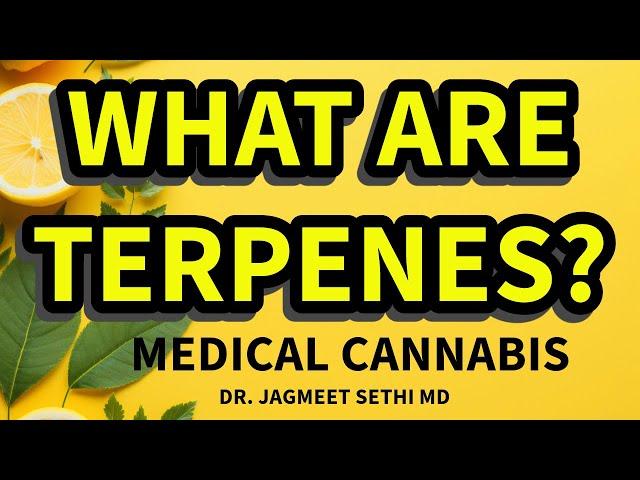 Terpenes in Medical Cannabis Help Chronic Pain, Sleep and Anxiety. Dr. Jagmeet Sethi ,MD