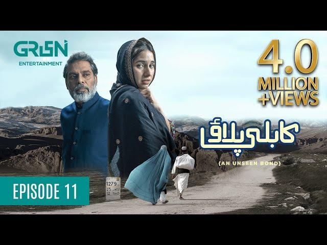 Kabli Pulao Episode 11 | Presented by Dalda | Powered by Tapal & Insignia | Green Entertainment TV