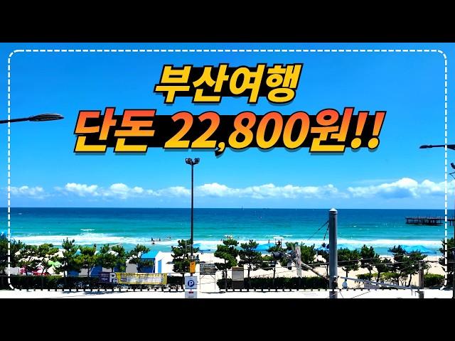 41개 부산여행지를 12시간 동안 단돈 22,800원으로 이용할 수 있는 자유이용권!!