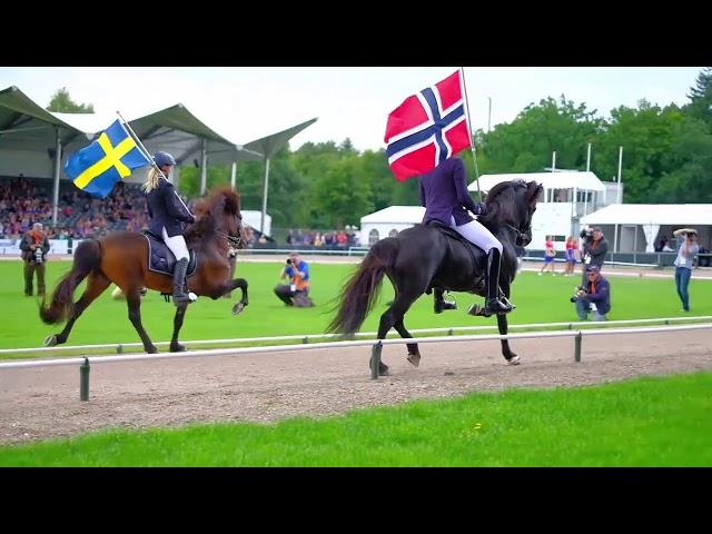 Islandpferde Weltmeisterschaft 2017 / Holland - Oirschot