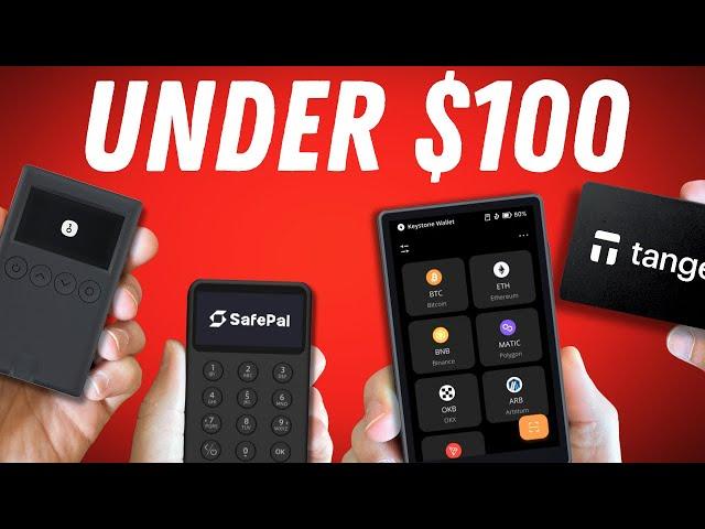 BEST Cold Wallets UNDER $100 | In-Depth Review