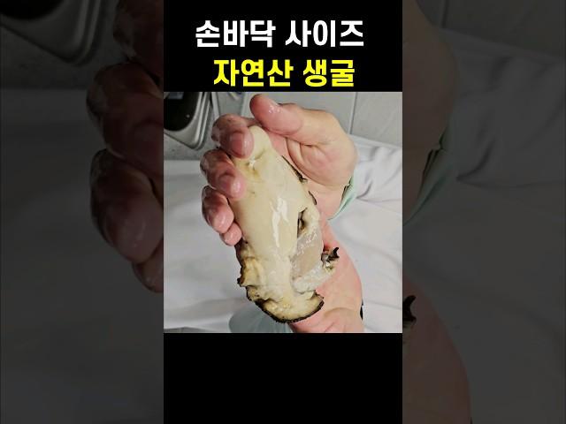 How to eat raw oysters in Dumido, Tongyeong, Korea