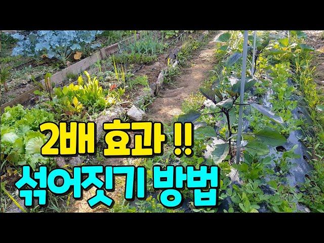 Where and how should I plant the garden crops?How to use a small garden wide