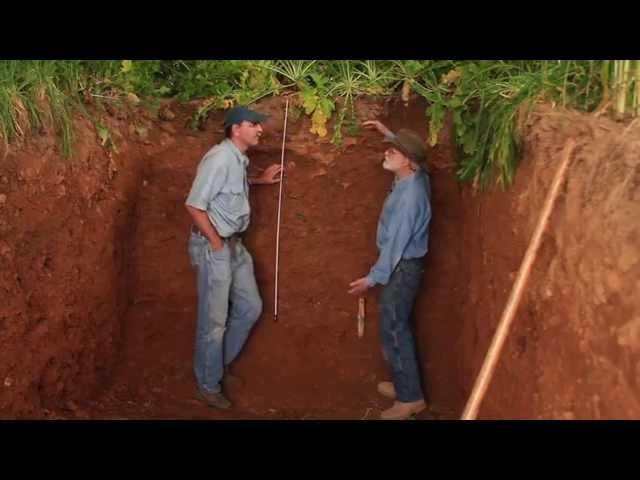 The Science of Soil Health: Going Deeper