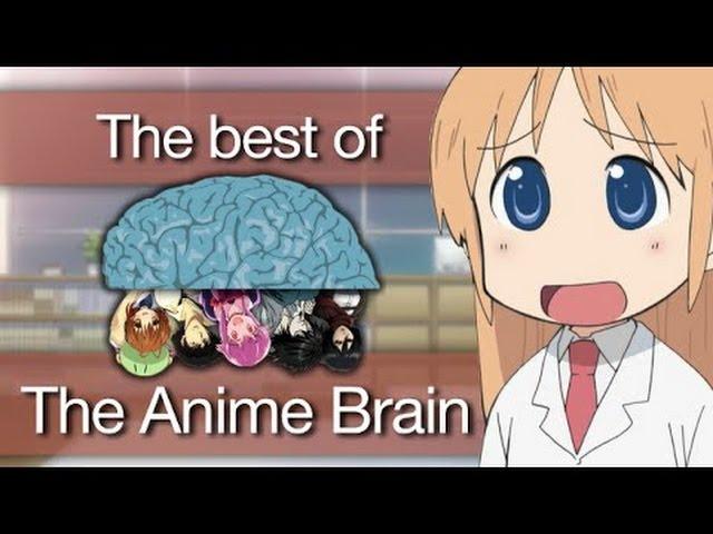 (The Anime Brain) Anime Vines DAMN! #24