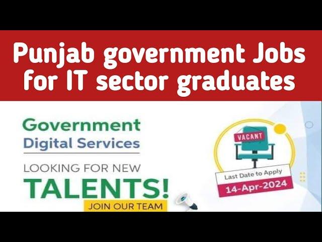 Government Digital services Jobs 2024 | IT Jobs in Lahore Punjab government Jobs 2024