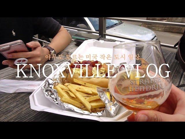 USA Knoxville Vlog | 2019 Knoxville Dogwood Festival