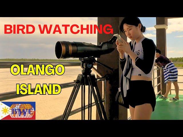 Travelling to Olango Island from Cebu City by Taxi/Ferry. Visiting Wildlife Sanctuary, Philippines